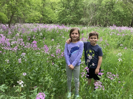 Big Woods Lake Park Flowers5